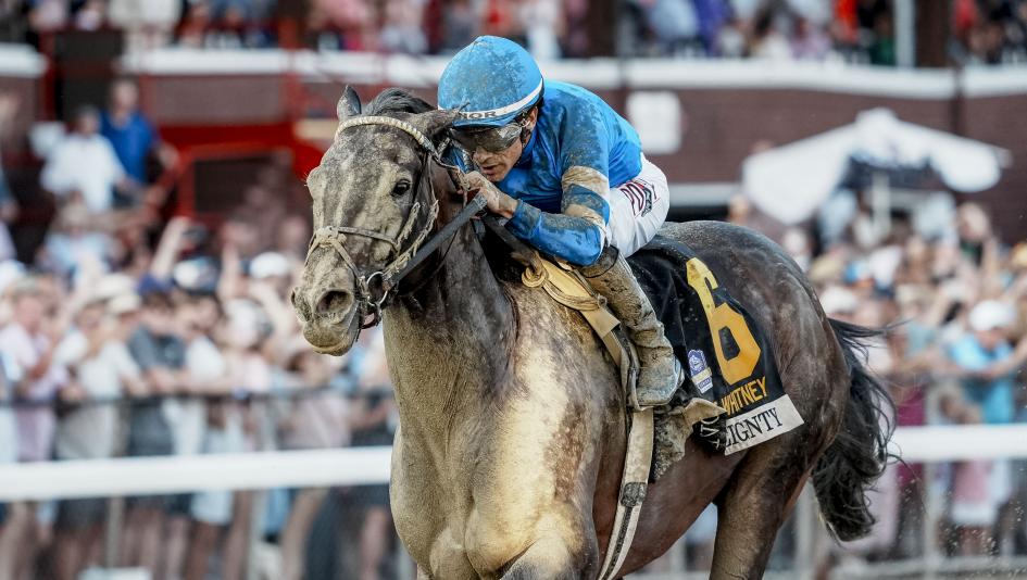2026 Breeders Cup Classic, Americas Best Racing Power Rankings, Sovereignty, Forever Young, Nitrogen